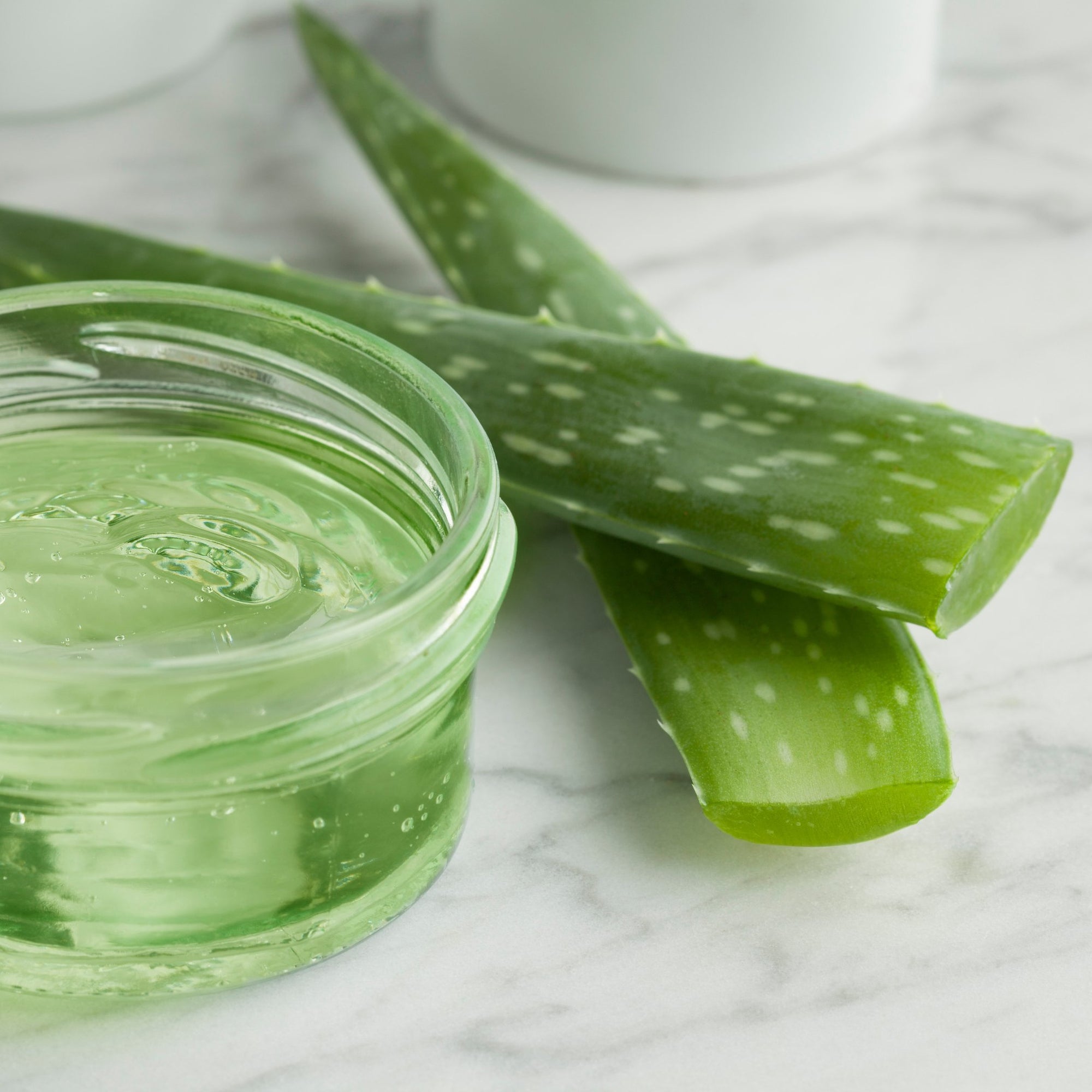 10 cose che puoi fare con il gel di Aloe - LAB7